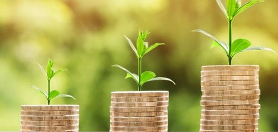 خيارات استثمارية ناجعة