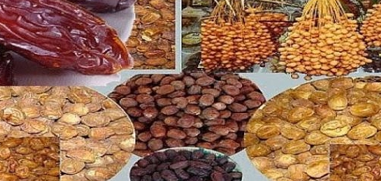 أفضل أنواع التمور: دليل شامل لأشهر الأصناف