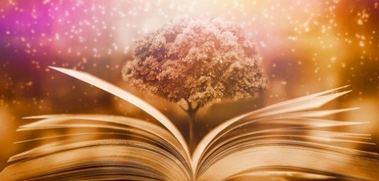 أعمال الدكتور إبراهيم الفقي الخالدة: خمسة كتب غيّرت حياة الملايين