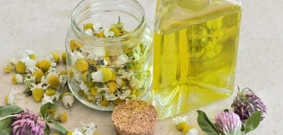 فوائد الأعشاب والنباتات الطبية