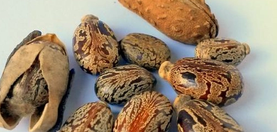 طرق طبيعية لمنع الحمل: فوائدها ومخاطرها