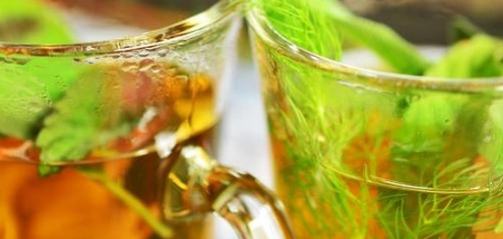 عشبات طبيعية لصحة الجهاز الهضمي