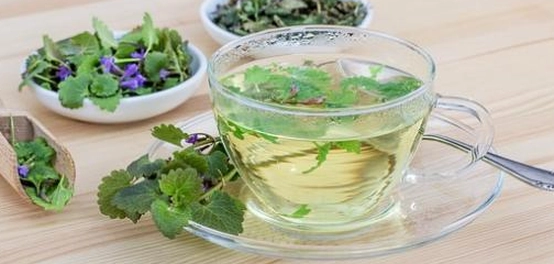 عشبة ونباتات طبيعية لخفض الكوليسترول