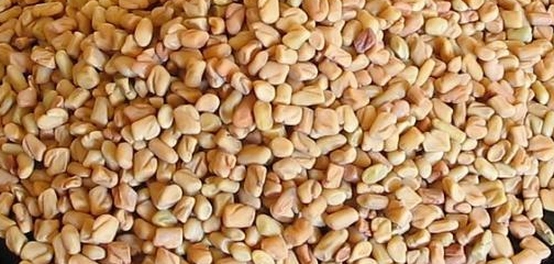 أعشاب طبيعية لضبط الشهية