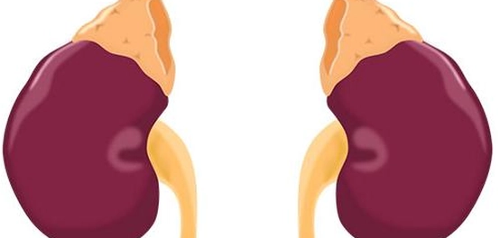 علامات ارتفاع وظائف الكلى