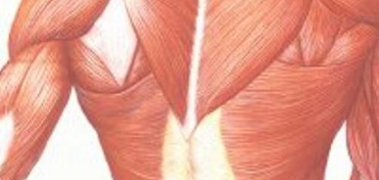 انكماش العضلات: الأسباب، الأعراض، والعلاج