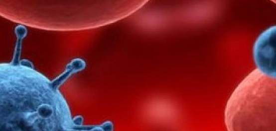 علامات ودلالات تسمم الدم