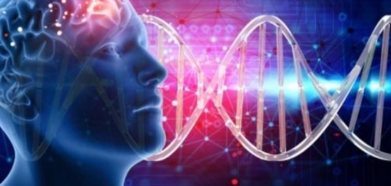 علامات سرطان الرأس: دليل شامل