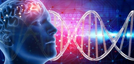 التهاب قشرة الدماغ: الأعراض، الأسباب، والمضاعفات