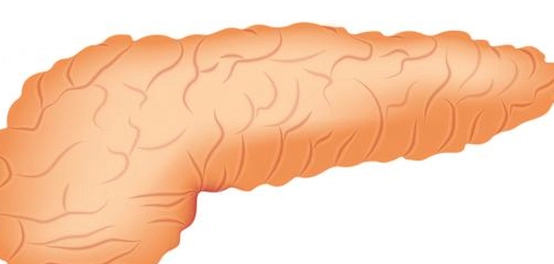 علامات وأعراض أمراض البنكرياس