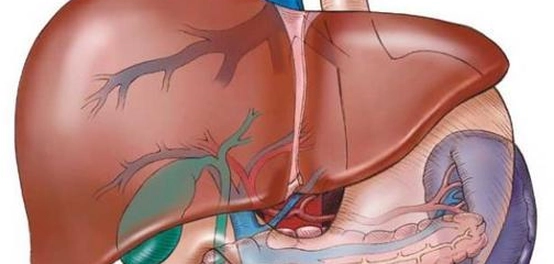 علامات الإصابة بفيروس التهاب الكبد الوبائي سي