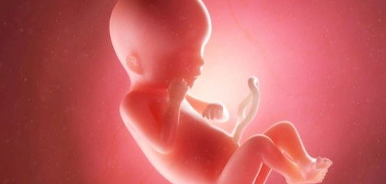 رحلات الروح: مراحل تكوين الإنسان