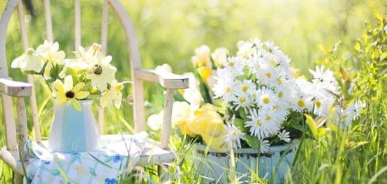 أمثال وحكم عبر التاريخ