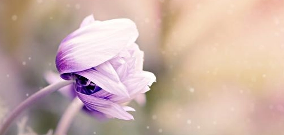 كلمات آسف: عبارات وخواطر و شعر للاعتذار