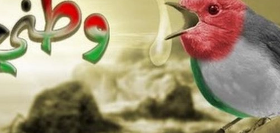 خواطر وطنية: كلمات وعبارات عن الوطن