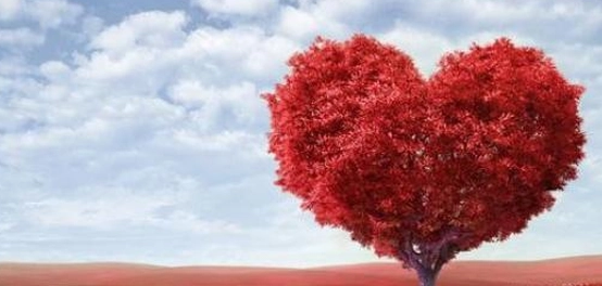كلمات وعبارات حبّ