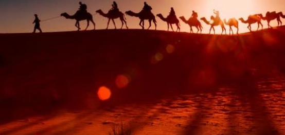 كنوز الحكمة العربية: أمثال، حكم، وخواطر