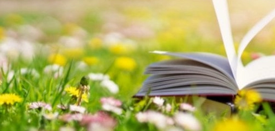 جواهر الفكر: حكم وأقوال عظماء الفلاسفة