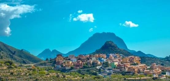 المنتجون الرئيسيون للزيتون عالميًا