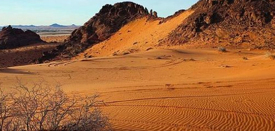 أكبر صحراء في الوطن العربي