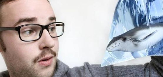 عملاق البحار: الحوت الأزرق، أكبر كائن حي على وجه الأرض