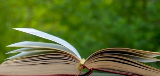 كلمات وعبارات وطنية مؤثرة