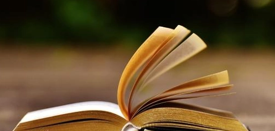 كنوز الحكمة: أقوال ملهمة من مفكرين عظماء