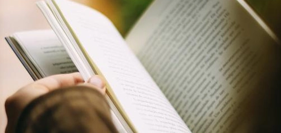 جواهر الحكمة و الحكم البالغة