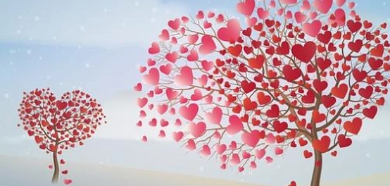 خواطر في الحياة و معاني الحب