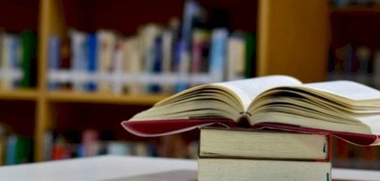 أمثلة على أنواع الحال في اللغة العربية