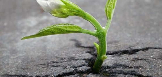 أمثال وحكم من الحياة