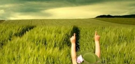 أقوال وحكم عن الحياة