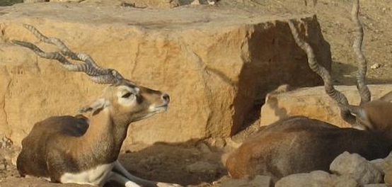 وجهات ترفيهية مميزة في الرياض