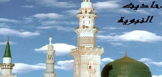 تصنيفات الأحاديث النبوية