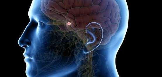 اضطرابات الغدة النخامية: دليل شامل