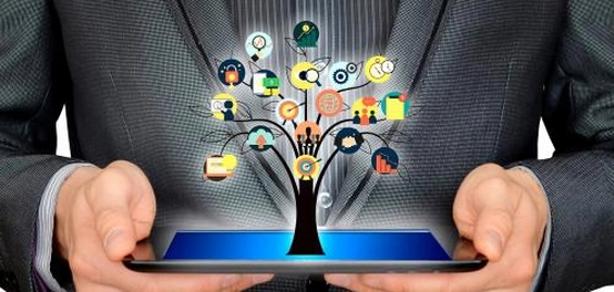 تصنيفات المنتجات وأنماطها المتنوعة