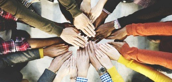 دور المؤسسات في المجتمع