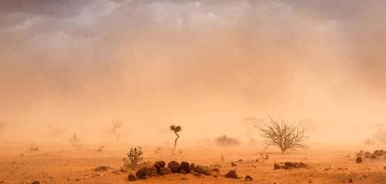 أنواع العواصف الرملية و أثرها المدمر
