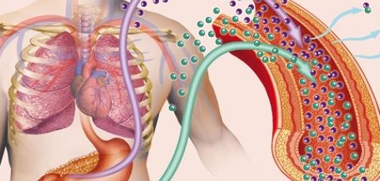 أنواع مرض السلّ: دليل شامل
