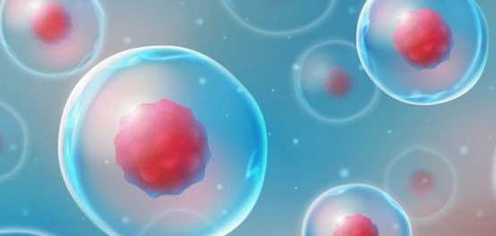 تنوع الخلايا الحية: دراسة شاملة لأنواعها وخصائصها