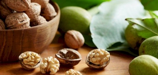 أنواع أشجار الجوز: دليل شامل