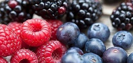 أنواع التوت وفوائده