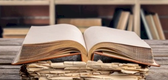 فهم لسانيات النص: تعريف، أهمية، وتصنيف