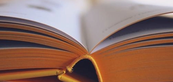 فهم اللغة العربية: دراسة فقه اللغة وعلم اللغة