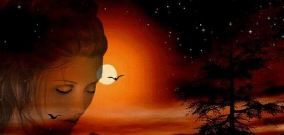 رحلة عبر تاريخ شعر الغزل العربي