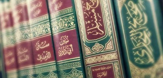فهم أحاديث الآحاد: تعريف، أقسام، وحجية