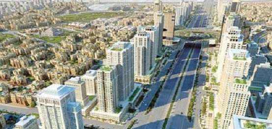 فهم التركيب السكاني: دراسة شاملة