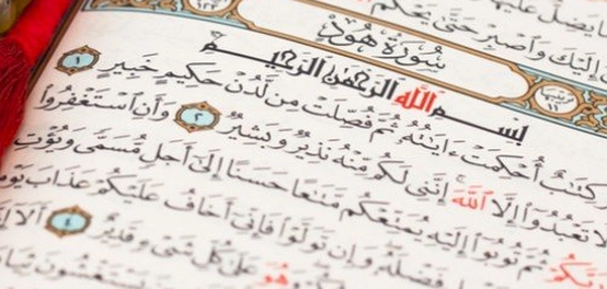 رحلة في سورة هود: نبذة عن محتوياتها وقصص أنبيائها