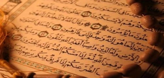 سورة النحل: رحلة في آيات الإعجاز