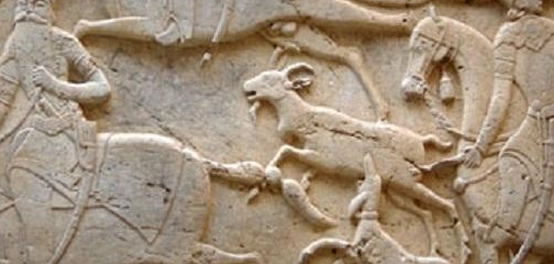 فن النحت: تاريخه، أنواعه، وأهم سماته